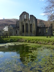 FZ003845 Crucis Abbey reflected in fish pond.jpg